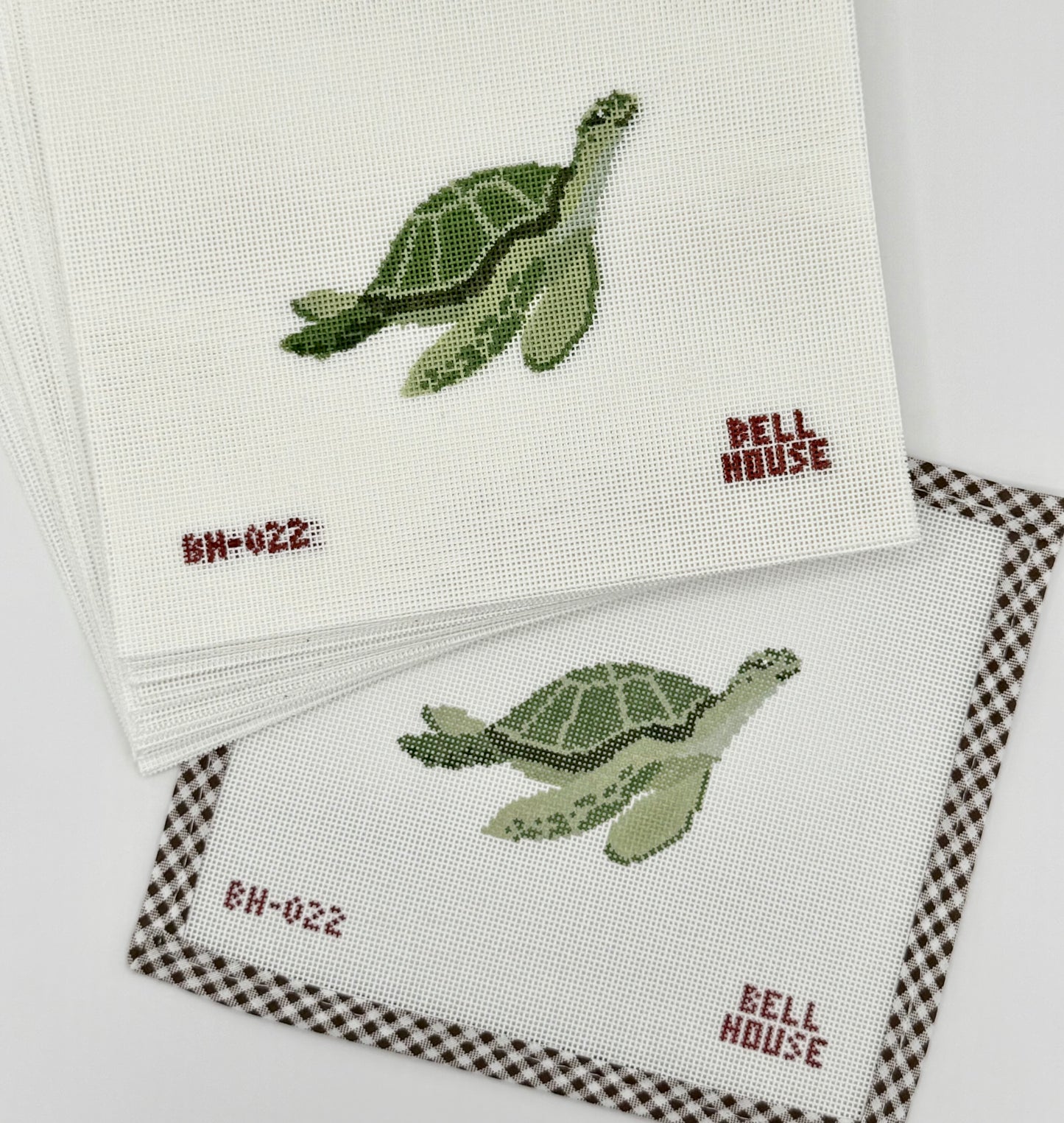 Sea Turtle