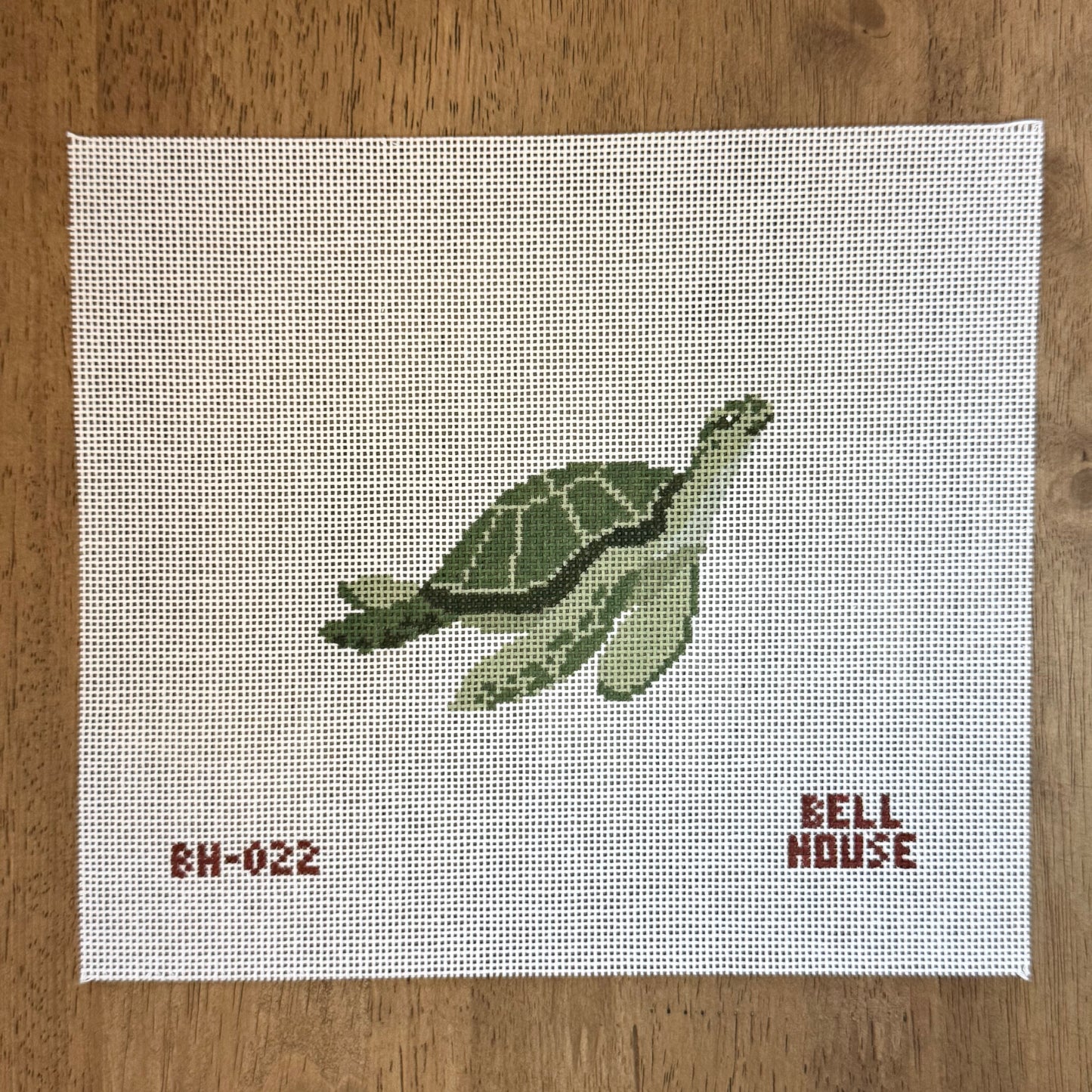Sea Turtle
