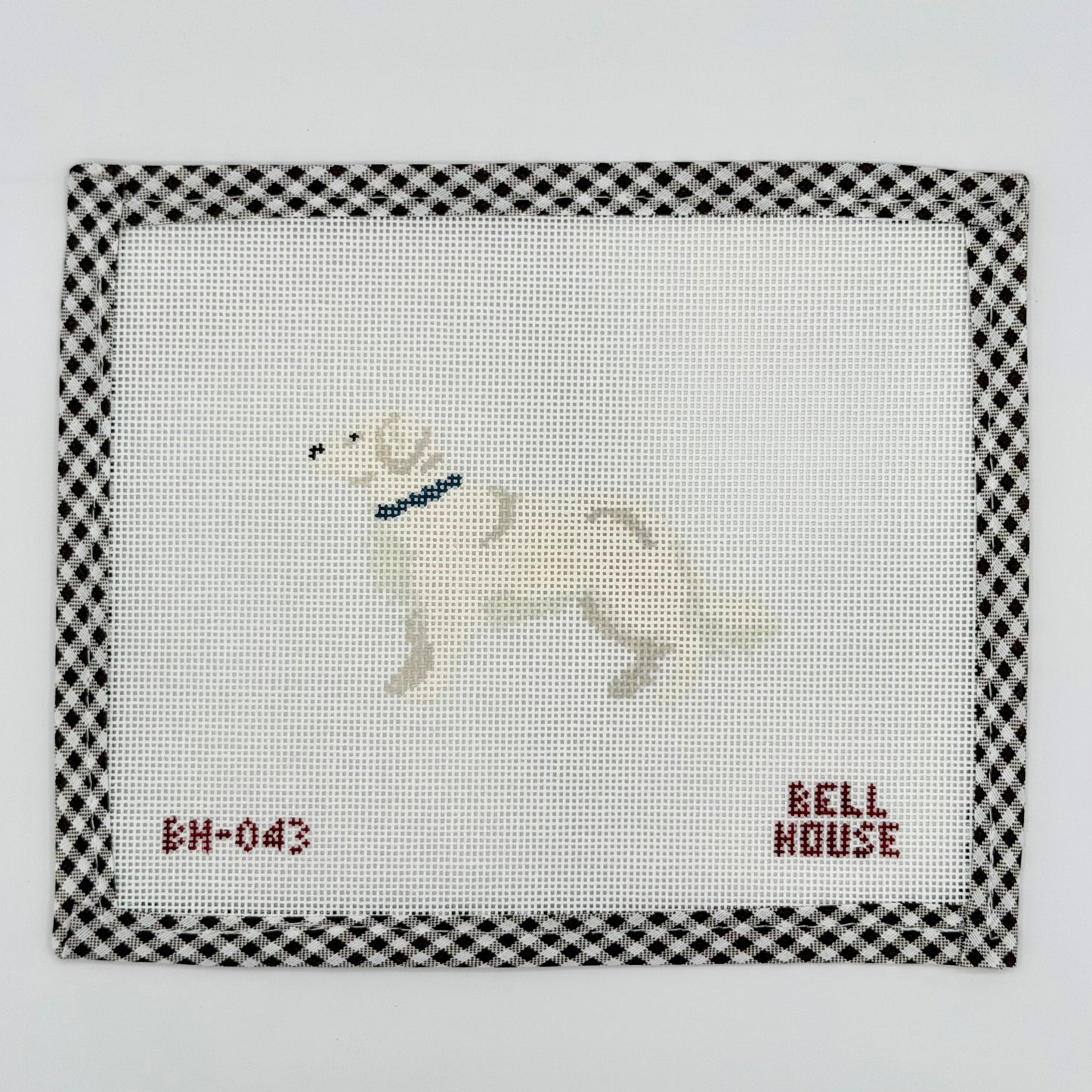 English Cream Golden Retriever