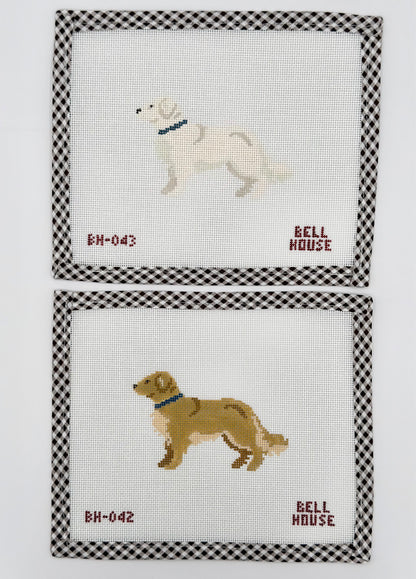 English Cream Golden Retriever