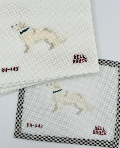 English Cream Golden Retriever