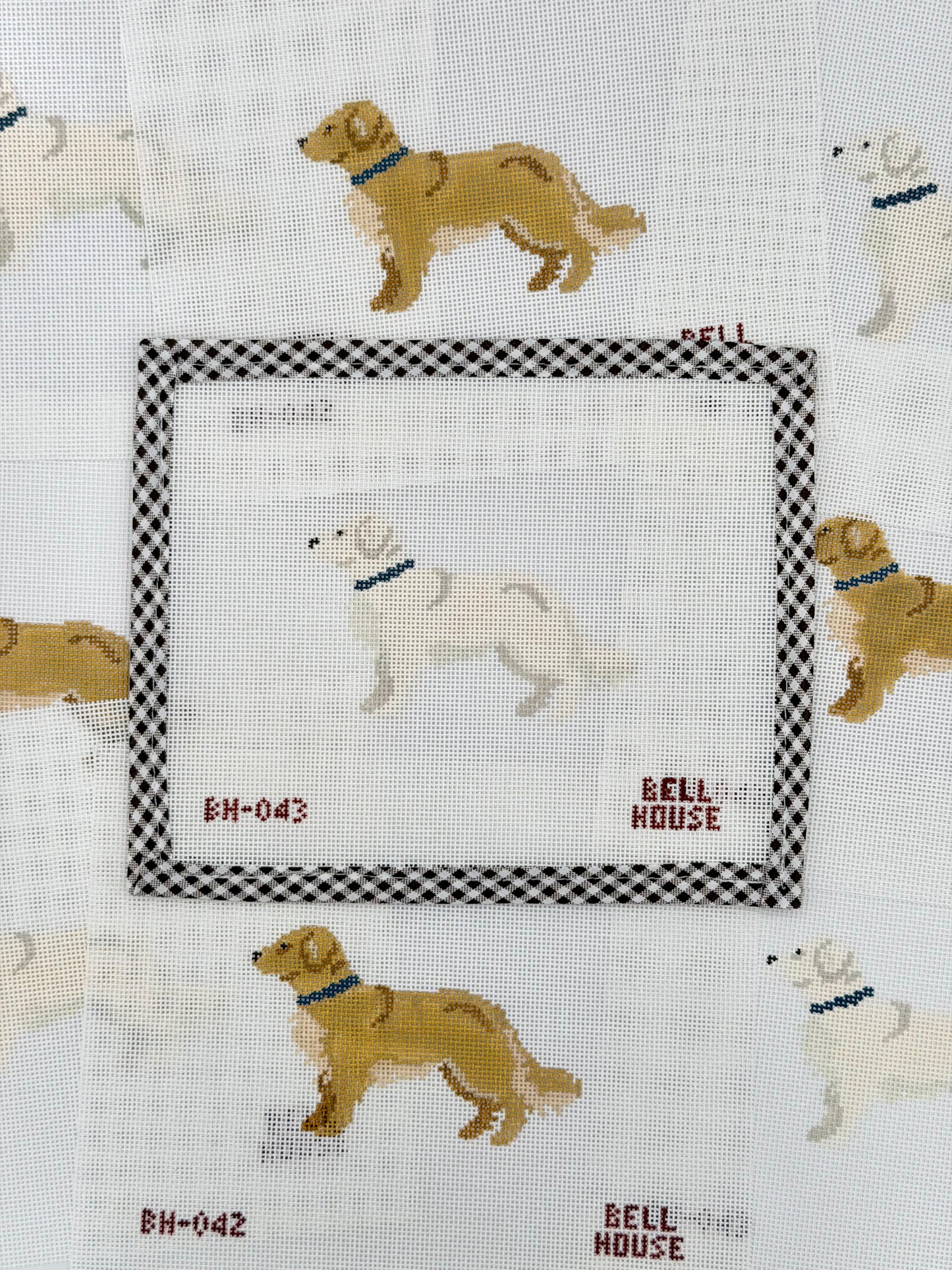 English Cream Golden Retriever