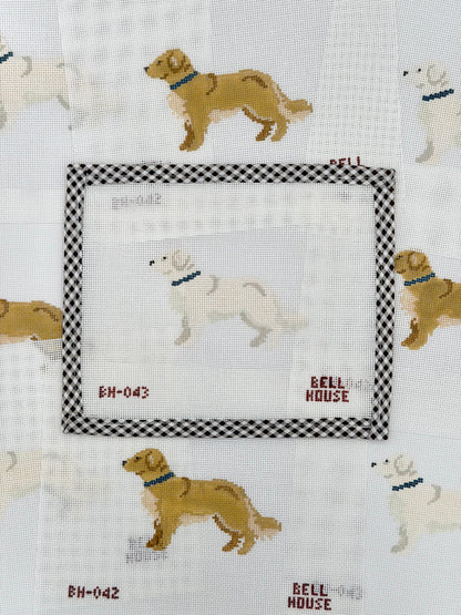 English Cream Golden Retriever