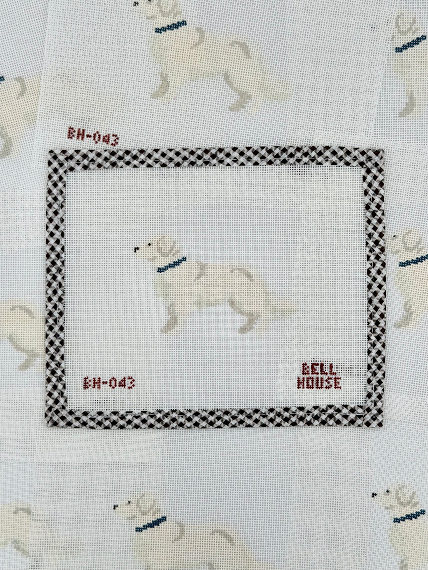 English Cream Golden Retriever