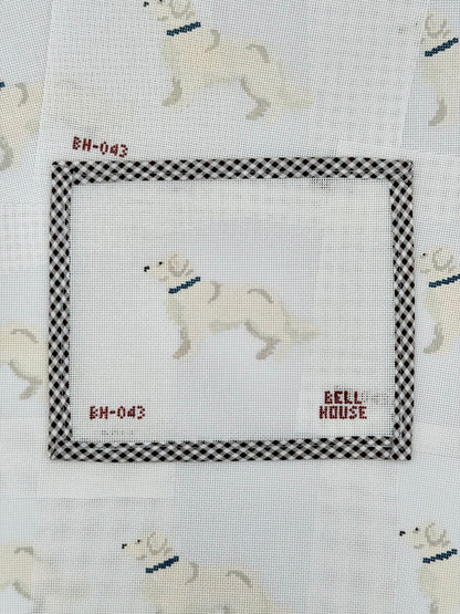 English Cream Golden Retriever