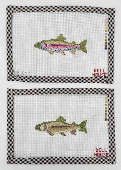 Rainbow Trout