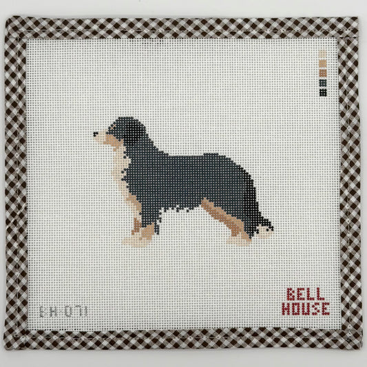 Bernese Mountain Dog
