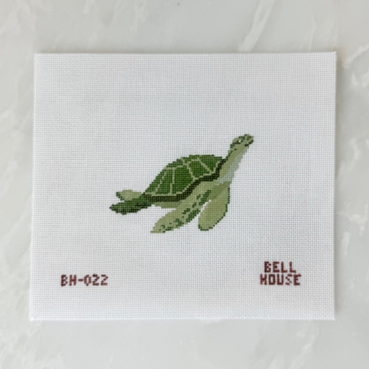 Sea Turtle